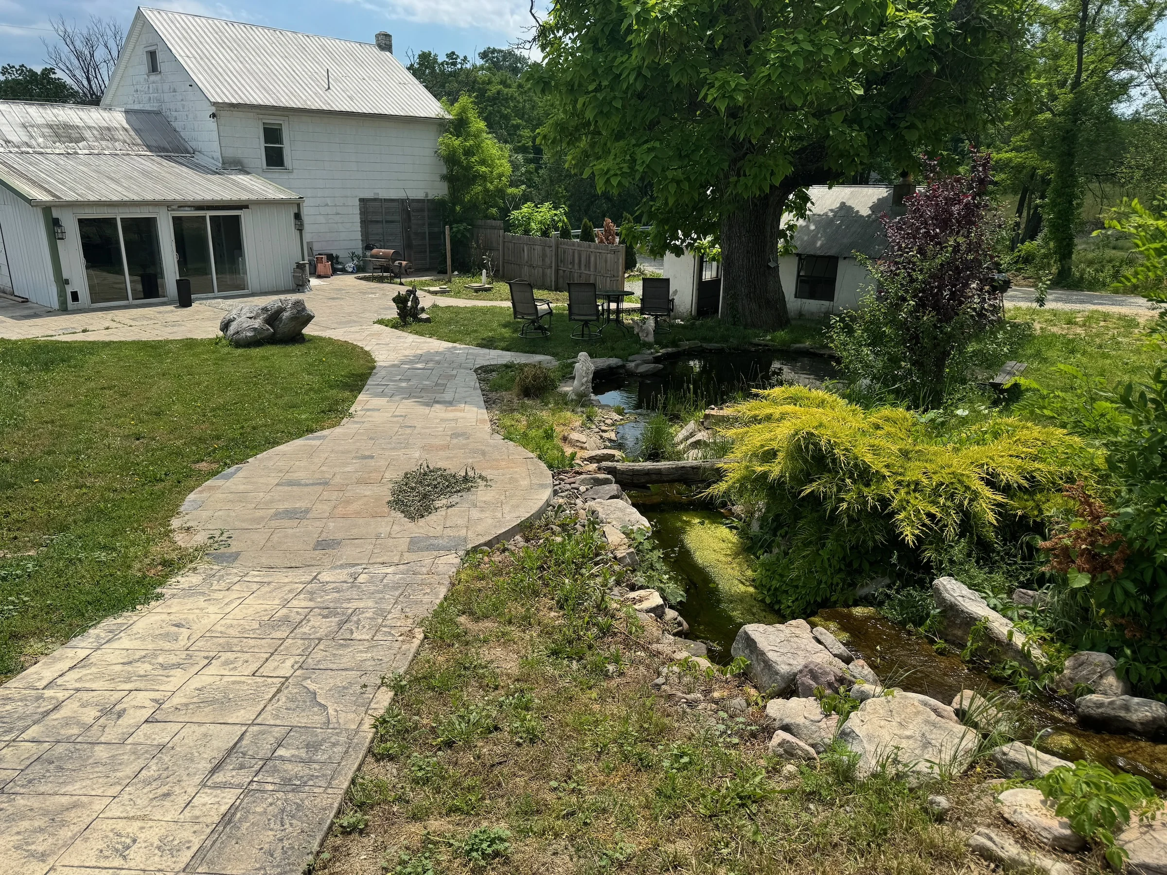 A curving garden path and water garden beneath a shade tree beside the farmhouse.